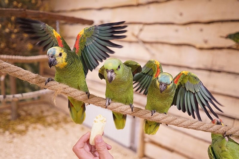 meeting in company neer table work few people